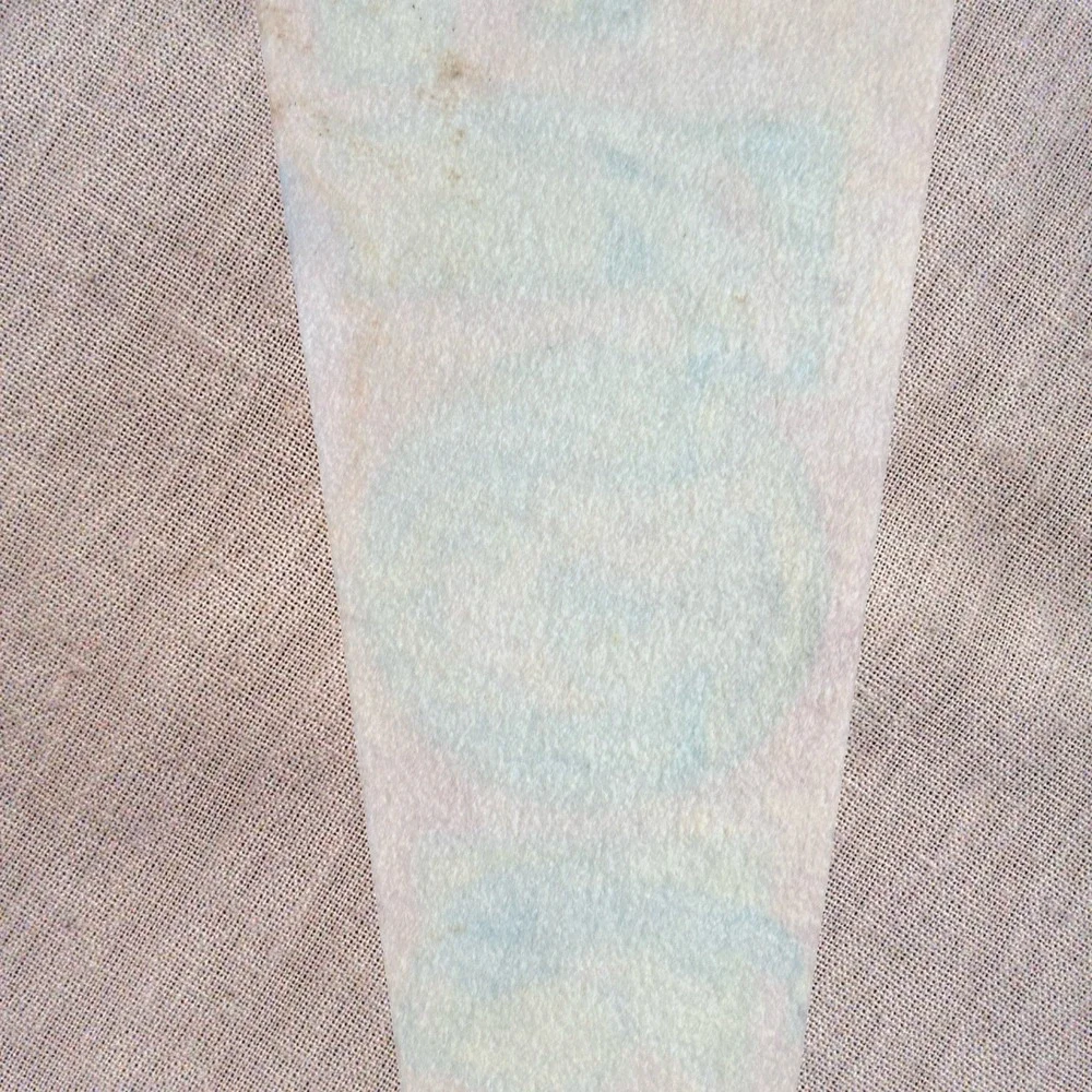 Vintage 1974 Large Felt Imprint Art Florida Souvenir Pennant